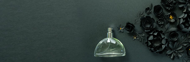 acceserroies_image1